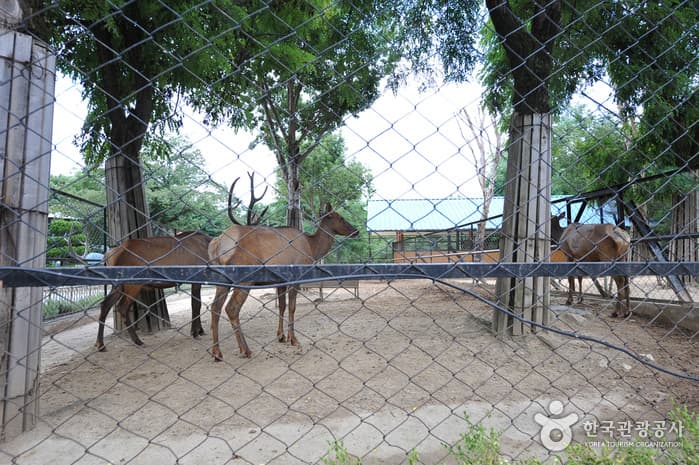 Зоопарк Чончжу (전주동물원)