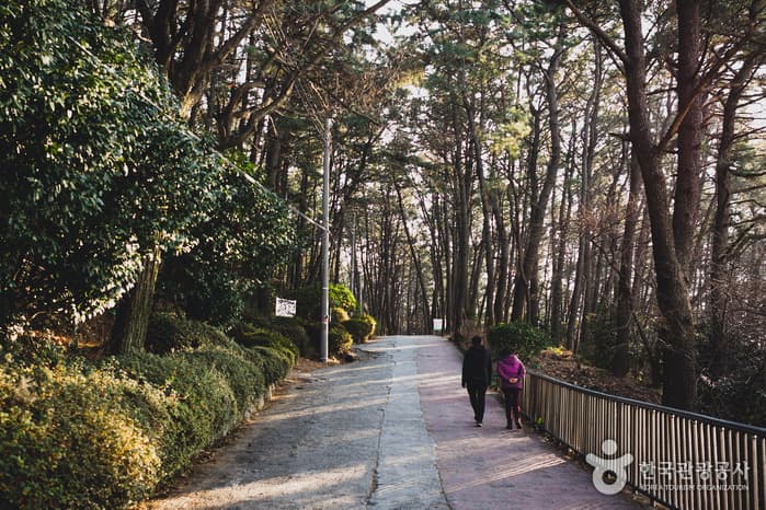 한국관광공사 추천 2월 걷기여행길_해안누리길 몰운대길_1
