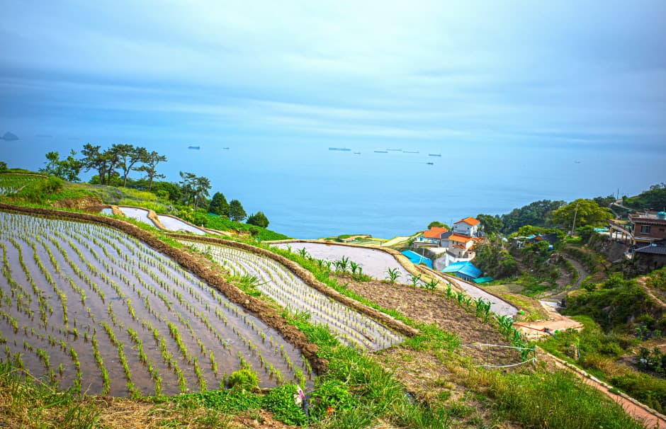 가천 다랭이마을_2