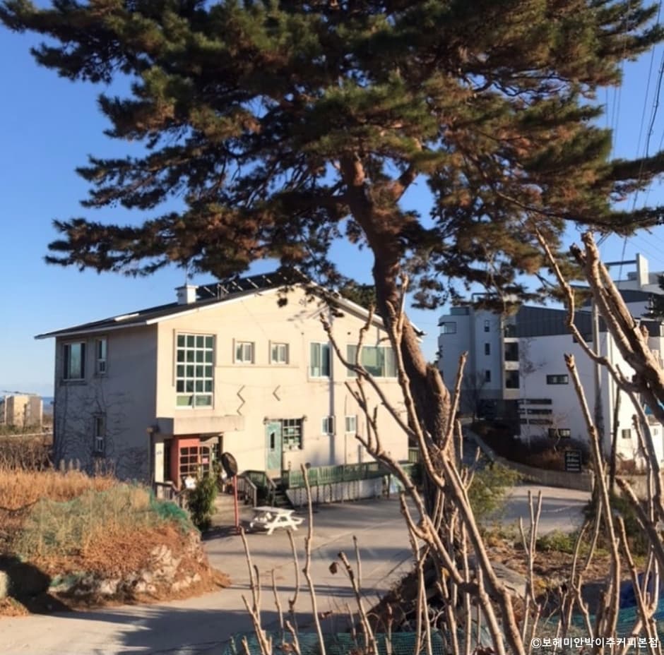 이운성_강원도_강릉시_보헤미안박이추커피(본점)_외부2